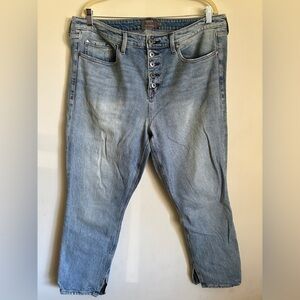 Torrid High Rise Straight Jeans